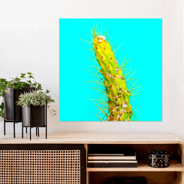 Plakat samoprzylepny Zielony kaktus na niebieskim tle