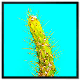 Plakat w ramie Zielony kaktus na niebieskim tle