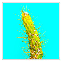 Plakat samoprzylepny Zielony kaktus na niebieskim tle