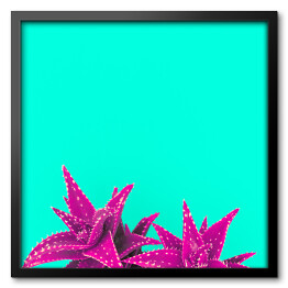 Obraz w ramie Fioletowe liście na niebieskim tle