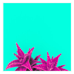 Plakat samoprzylepny Fioletowe liście na niebieskim tle