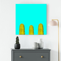 Obraz na płótnie Kilka zielonych kaktusów na niebieskim tle