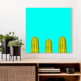Obraz na płótnie Kilka zielonych kaktusów na niebieskim tle