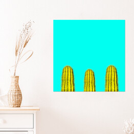 Plakat samoprzylepny Kilka zielonych kaktusów na niebieskim tle