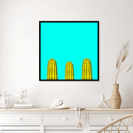 Plakat w ramie Kilka zielonych kaktusów na niebieskim tle