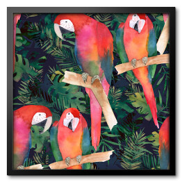 Obraz w ramie Akwarela - kolorowe papugi i tropikalne liście