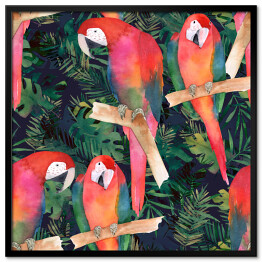 Plakat w ramie Akwarela - kolorowe papugi i tropikalne liście
