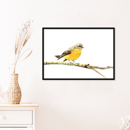 Plakat w ramie Żółty ptak siedzący na gałęzi na białym tle