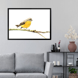 Obraz w ramie Żółty ptak siedzący na gałęzi na białym tle