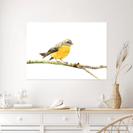 Plakat samoprzylepny Żółty ptak siedzący na gałęzi na białym tle