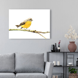 Obraz na płótnie Żółty ptak siedzący na gałęzi na białym tle