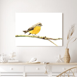 Obraz na płótnie Żółty ptak siedzący na gałęzi na białym tle