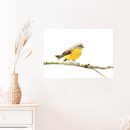 Plakat samoprzylepny Żółty ptak siedzący na gałęzi na białym tle