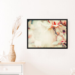 Obraz w ramie Piękny kwiat magnolii w pastelowym kolorze
