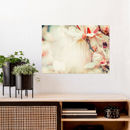 Plakat samoprzylepny Piękny kwiat magnolii w pastelowym kolorze