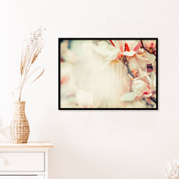 Plakat w ramie Piękny kwiat magnolii w pastelowym kolorze