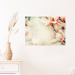 Plakat samoprzylepny Piękny kwiat magnolii w pastelowym kolorze