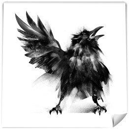 Fototapeta Mała wrona z uniesionym skrzydłem
