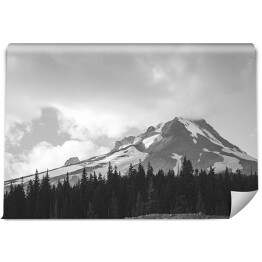 Fototapeta samoprzylepna Góra i las w kolorach białym i czarnym