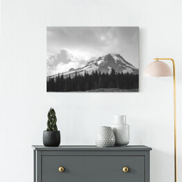 Obraz na płótnie Góra i las w kolorach białym i czarnym