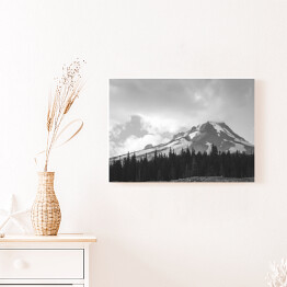 Obraz na płótnie Góra i las w kolorach białym i czarnym