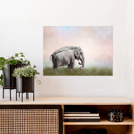 Plakat Dwa słonie we mgle