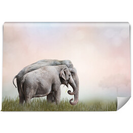 Fototapeta Dwa słonie we mgle