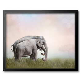 Obraz w ramie Dwa słonie we mgle