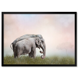 Plakat w ramie Dwa słonie we mgle