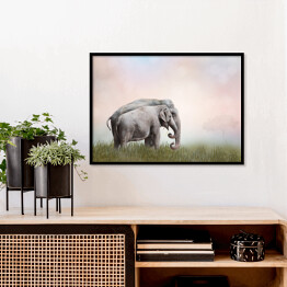 Plakat w ramie Dwa słonie we mgle