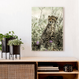 Obraz na płótnie Gepard wśród roślinności