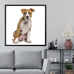 Obraz w ramie Terrier szczeniak w odcieniach beżu