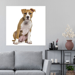 Plakat samoprzylepny Terrier szczeniak w odcieniach beżu