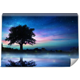 Fototapeta samoprzylepna Gwiaździsta noc i samotne drzewo