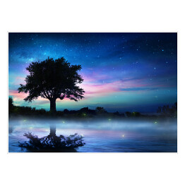 Plakat samoprzylepny Gwiaździsta noc i samotne drzewo