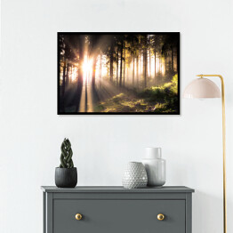 Plakat w ramie Słońce przebijające się przez ciemne sylwetki drzew w lesie
