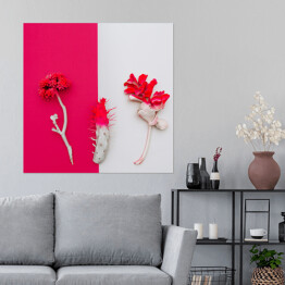 Plakat samoprzylepny Czerwone kwiaty na biało czerwonym tle