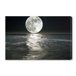 Obraz na płótnie Księżyc nad jeziorem