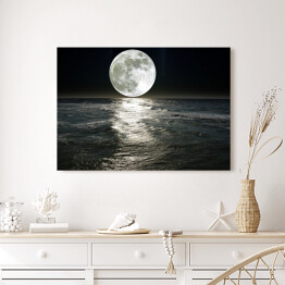 Obraz na płótnie Księżyc nad jeziorem