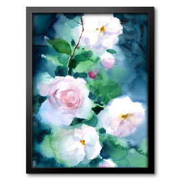 Obraz w ramie Białe róże na ciemnym tle - akwarela