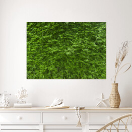 Plakat Bujne zielone bambusowe tło