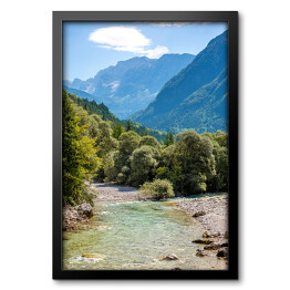 Obraz w ramie Krajobraz lasu w Słowenii