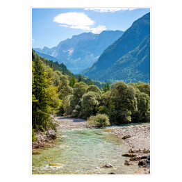 Plakat samoprzylepny Krajobraz lasu w Słowenii
