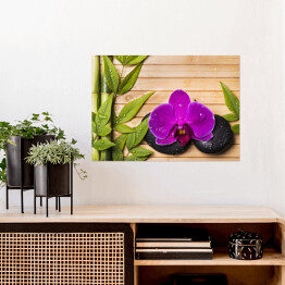 Plakat Orchidea i bambus z kroplami wody