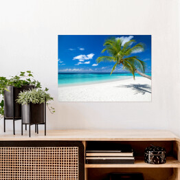 Plakat Palma na tropikalnej rajskiej wyspie