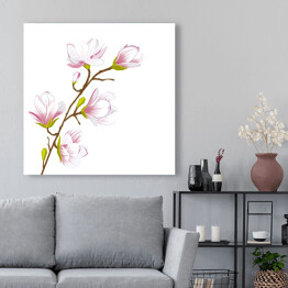 Duże kwiaty magnolii