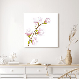 Obraz na płótnie Duże kwiaty magnolii