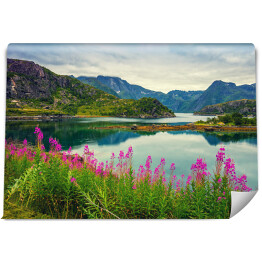 Fototapeta samoprzylepna Widok na norweski fiord, skaliste wybrzeże, pochmurne błękitne niebo i kwitnące różowe kwiaty