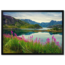 Plakat w ramie Widok na norweski fiord, skaliste wybrzeże, pochmurne błękitne niebo i kwitnące różowe kwiaty