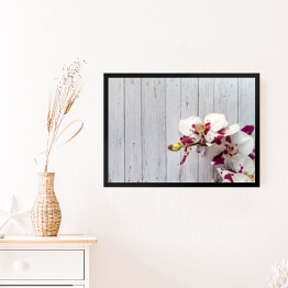 Obraz w ramie Kwiaty białych orchidei